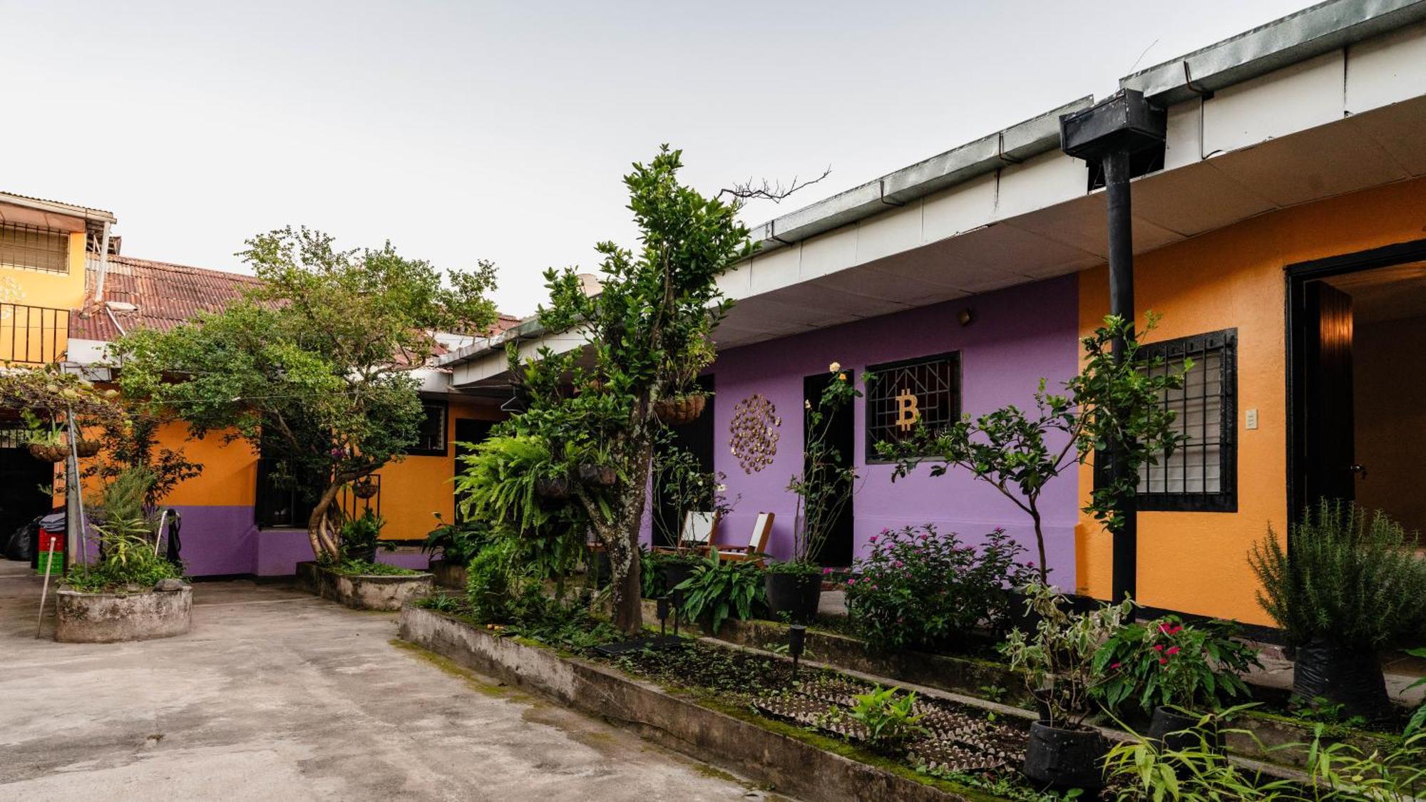The Whale Lounge - Berlin Bed & Breakfast Bagian luar foto